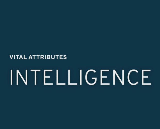 Wayfinder Attribute: Intelligence